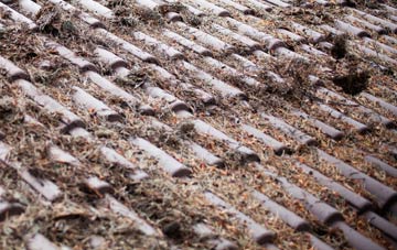 Thorncombe roof cleaning companies