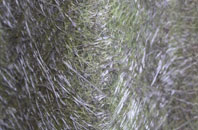 Thorncombe fibreglass roof work